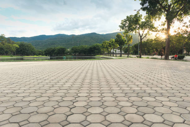 Paver Driveway Replacement in Griffin, GA